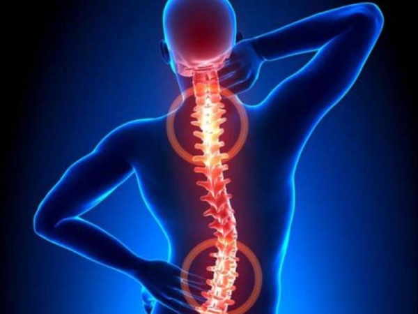 Spine and Back Care